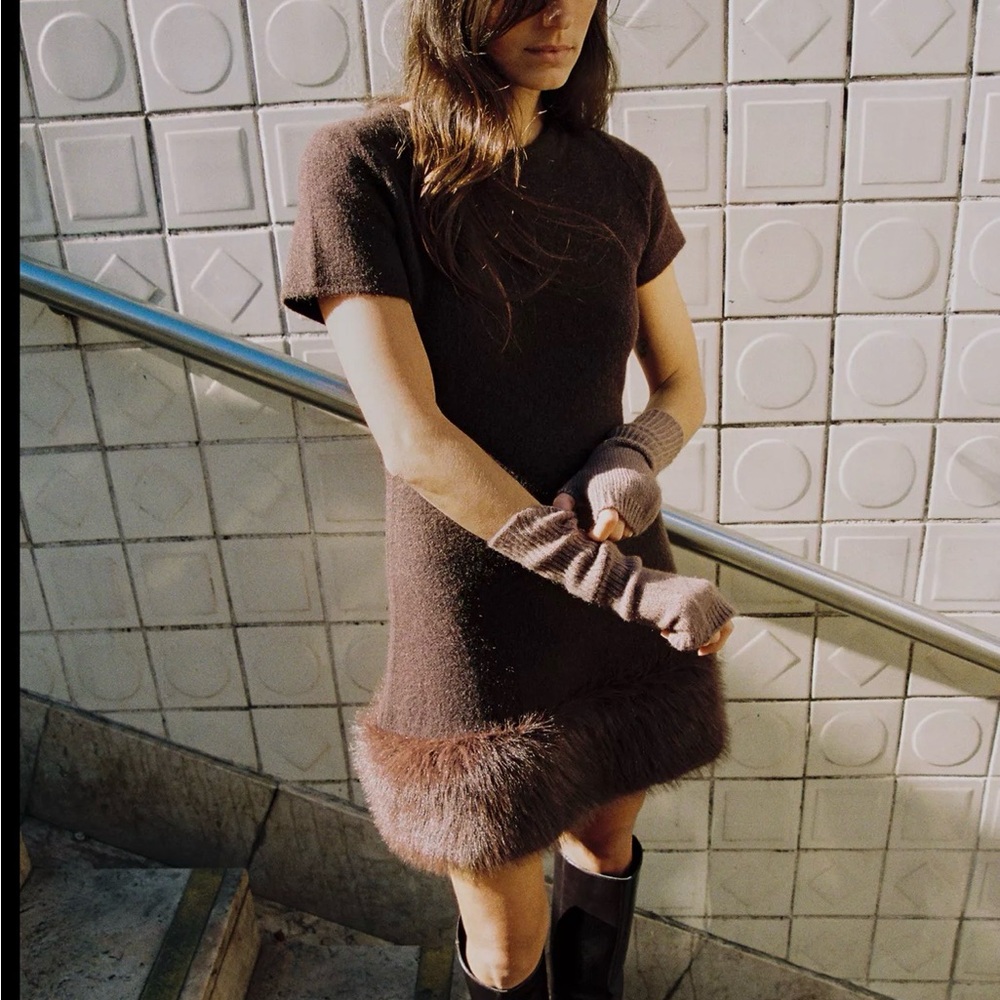 Zara Elegant Brown Short Sleeve Dress with faux fur trim